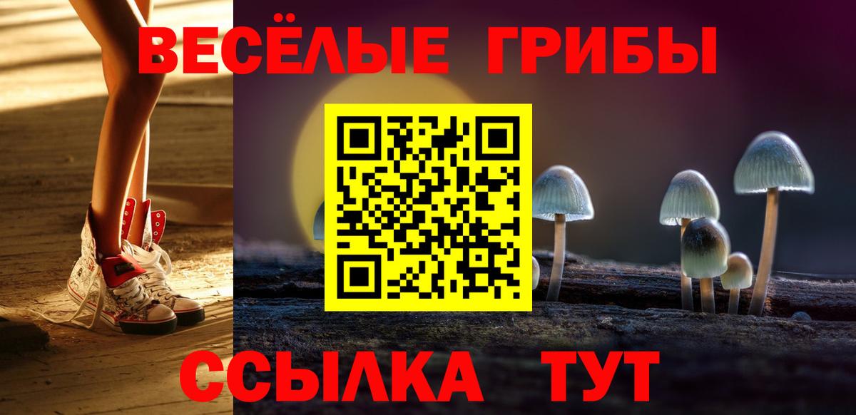 Псилоцибиновые грибы MAGIC MUSHROOMS Фролово