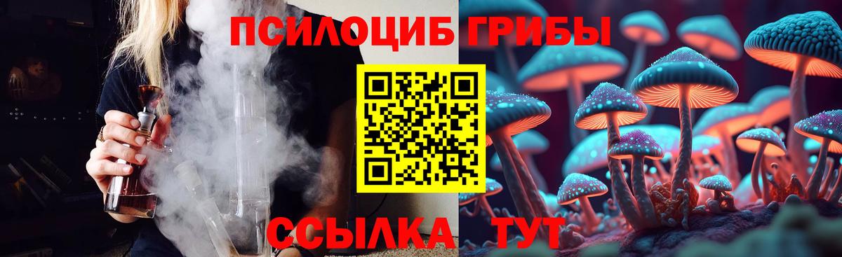 Фролово  Галлюциногенные грибы Cubensis  Вход с VPN 